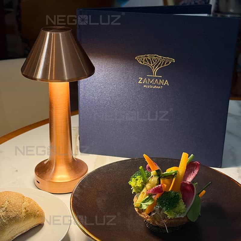 - NegoLuz Suisse - NegoLuz Suisse - NegoLuz Suisse Meilleure Lampe De Table